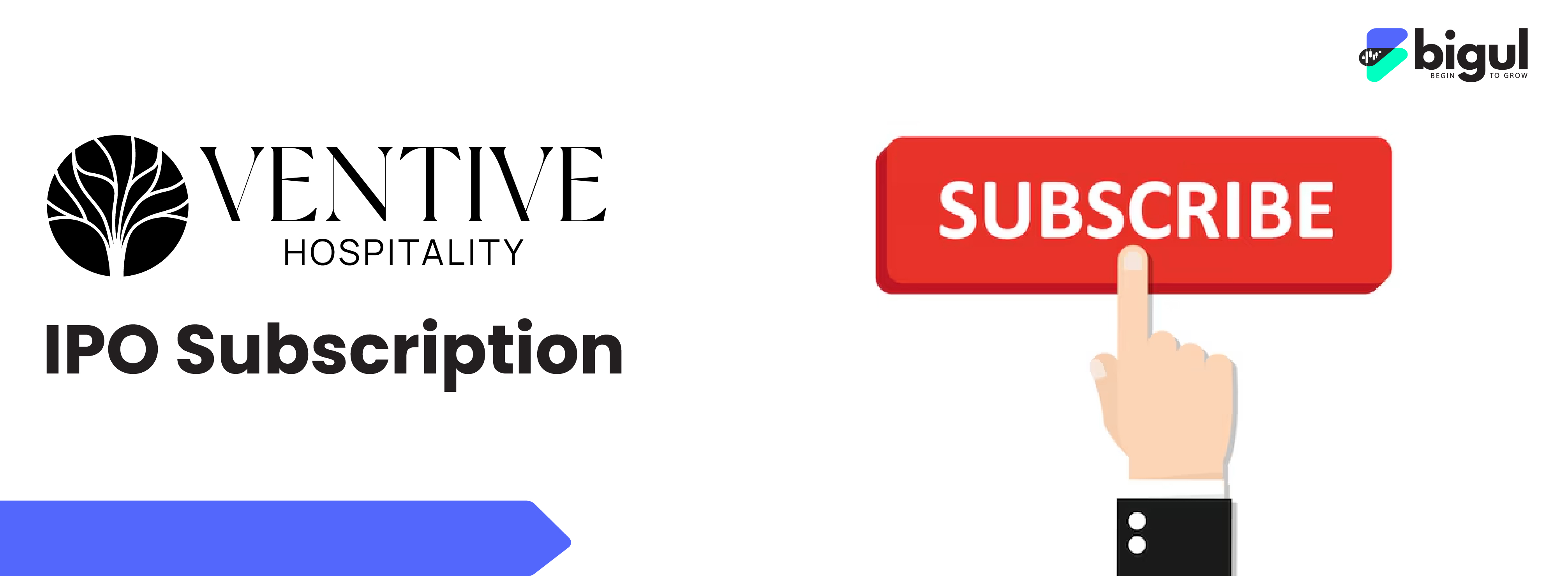 IPO subscription status